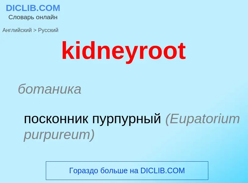 Как переводится kidneyroot на Русский язык