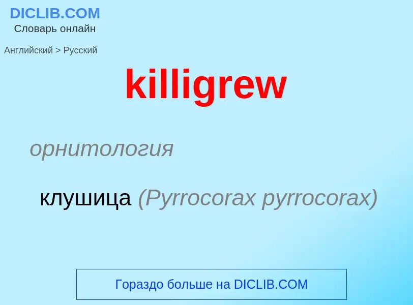 Как переводится killigrew на Русский язык