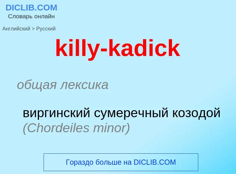 Как переводится killy-kadick на Русский язык