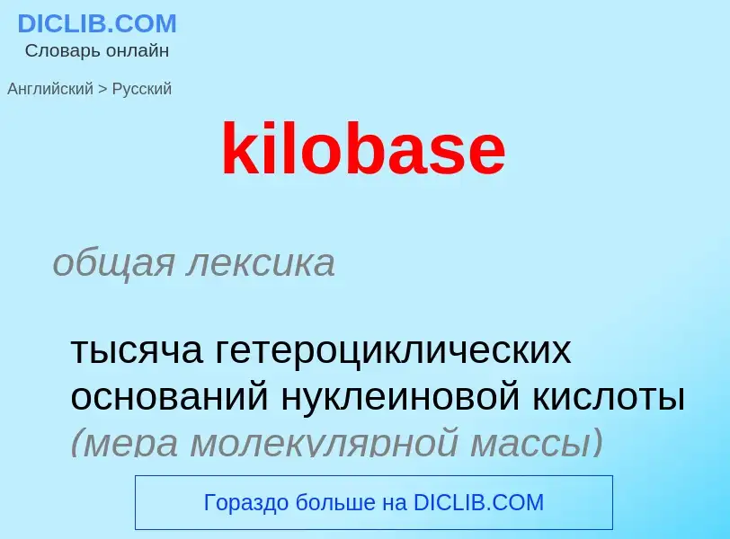 Как переводится kilobase на Русский язык