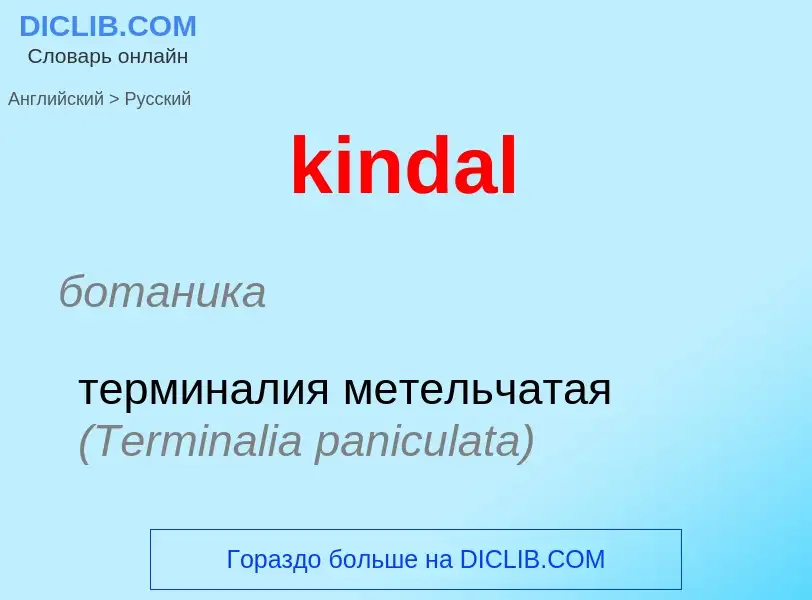 Как переводится kindal на Русский язык