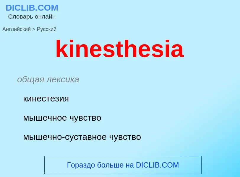 Как переводится kinesthesia на Русский язык