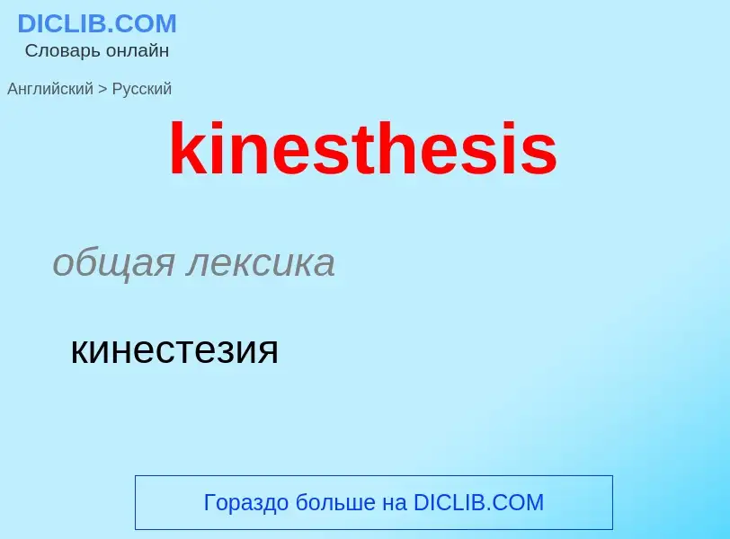 Как переводится kinesthesis на Русский язык