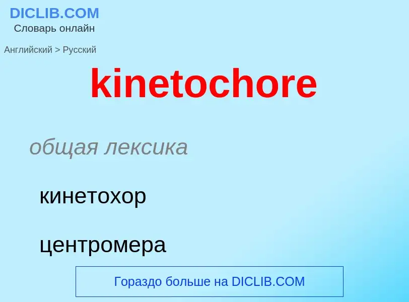 Как переводится kinetochore на Русский язык