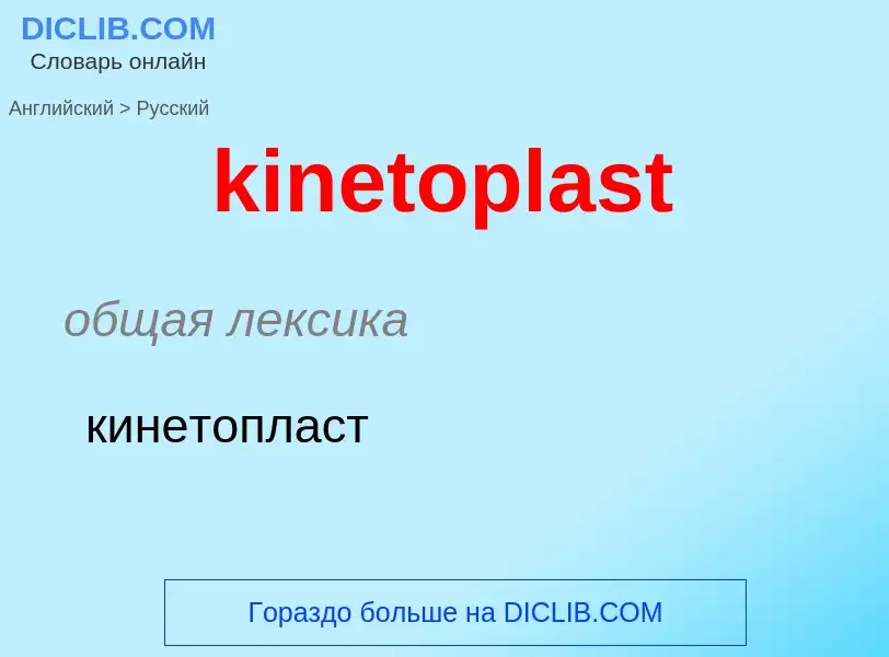 Как переводится kinetoplast на Русский язык