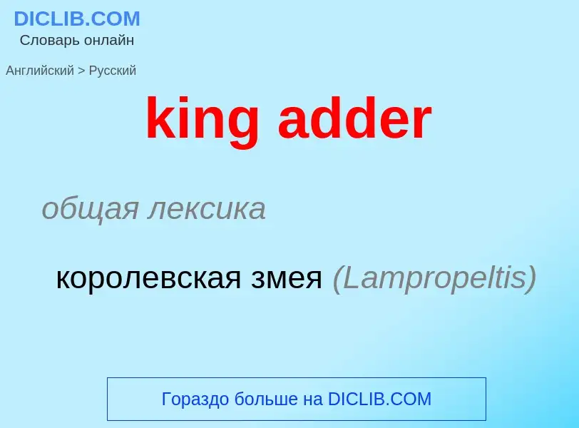 Как переводится king adder на Русский язык