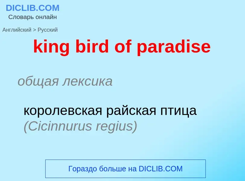 Как переводится king bird of paradise на Русский язык