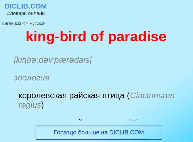 Как переводится king-bird of paradise на Русский язык