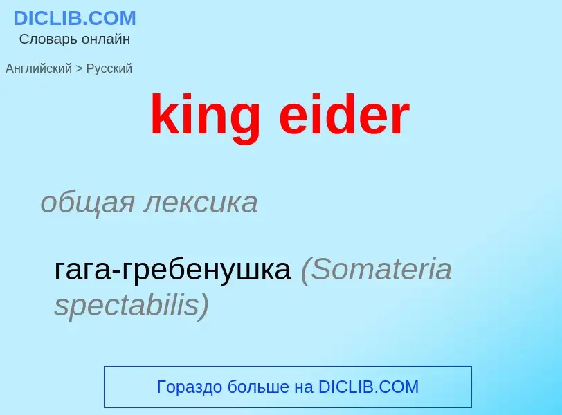 Как переводится king eider на Русский язык