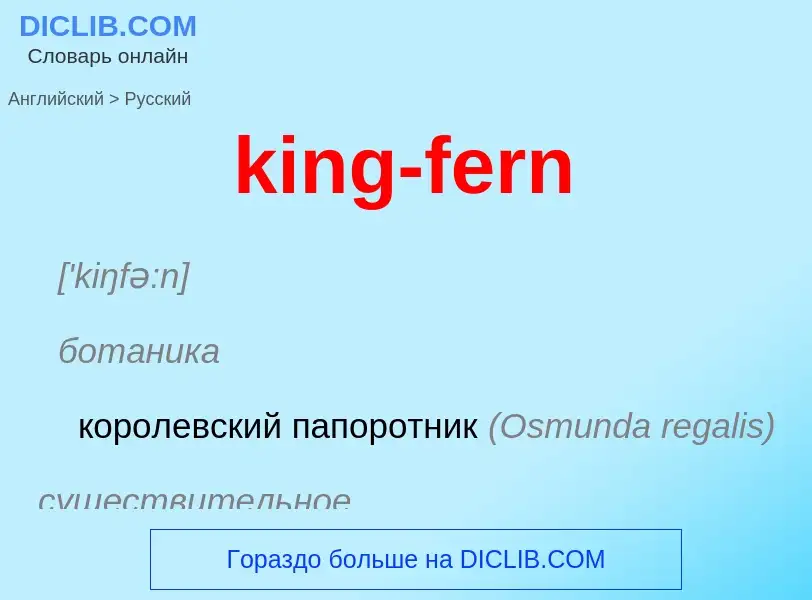 Как переводится king-fern на Русский язык