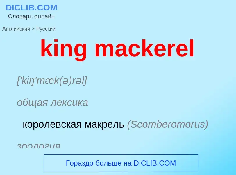 Как переводится king mackerel на Русский язык