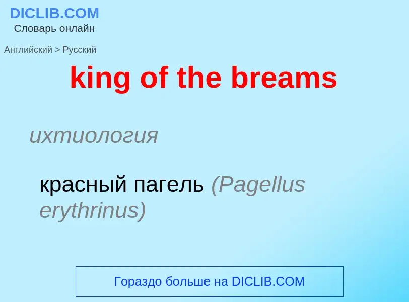 Как переводится king of the breams на Русский язык