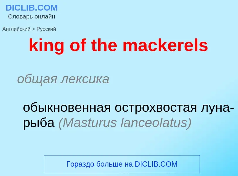 Как переводится king of the mackerels на Русский язык