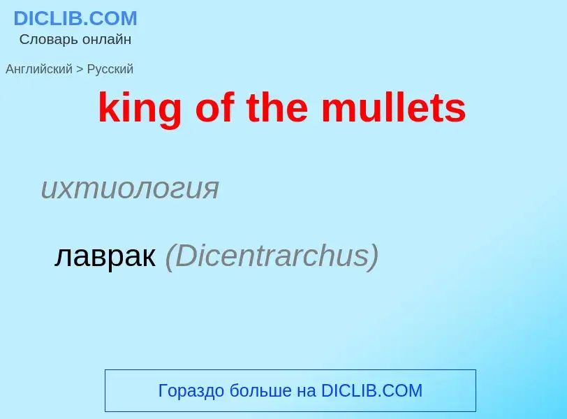 Как переводится king of the mullets на Русский язык