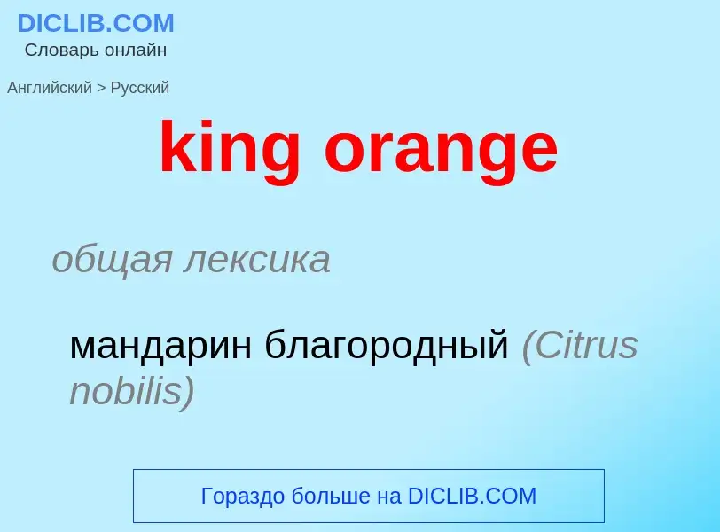 Как переводится king orange на Русский язык