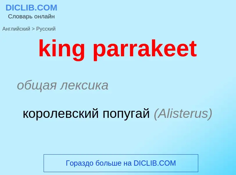 Как переводится king parrakeet на Русский язык