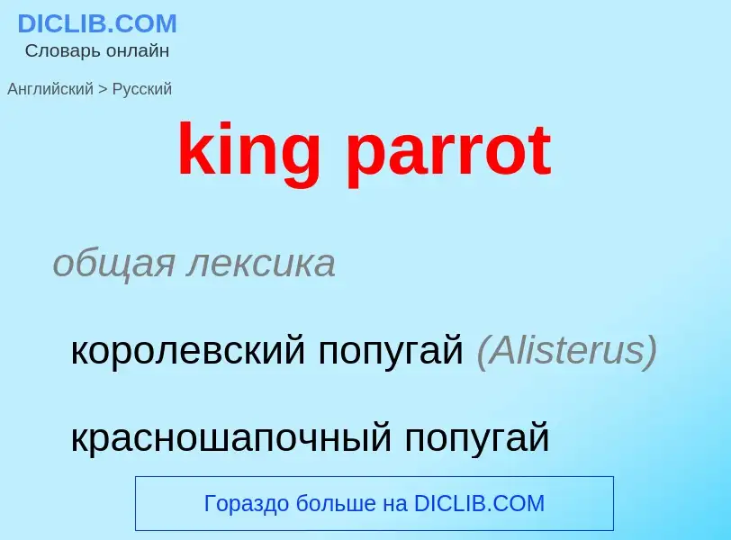 Как переводится king parrot на Русский язык