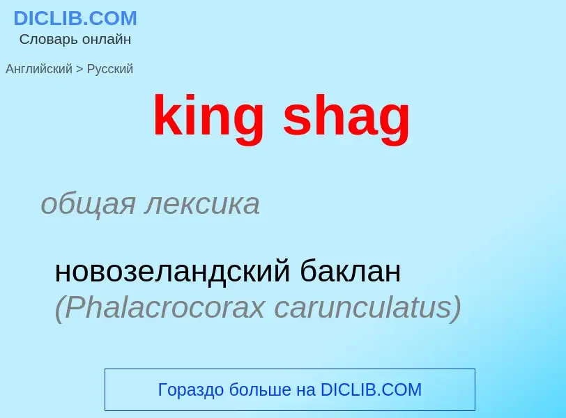 Как переводится king shag на Русский язык