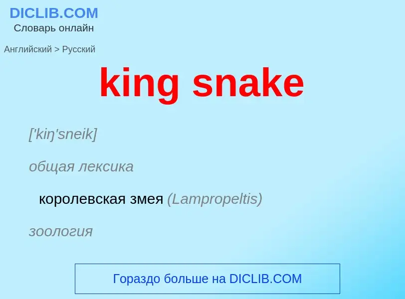 Как переводится king snake на Русский язык