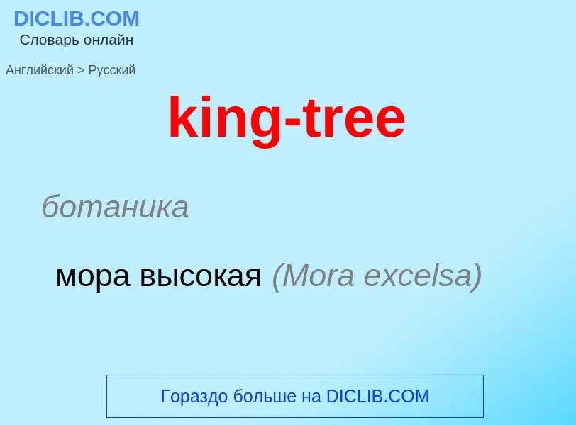 Как переводится king-tree на Русский язык