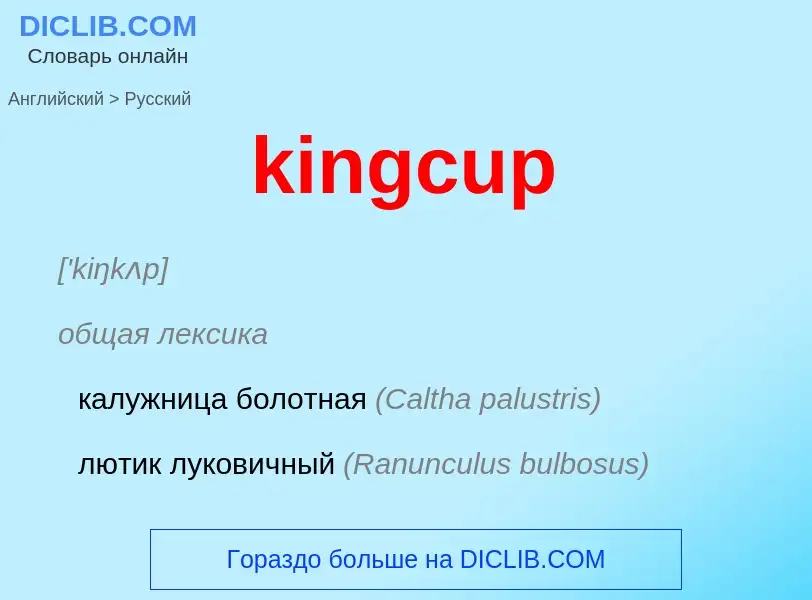 Как переводится kingcup на Русский язык