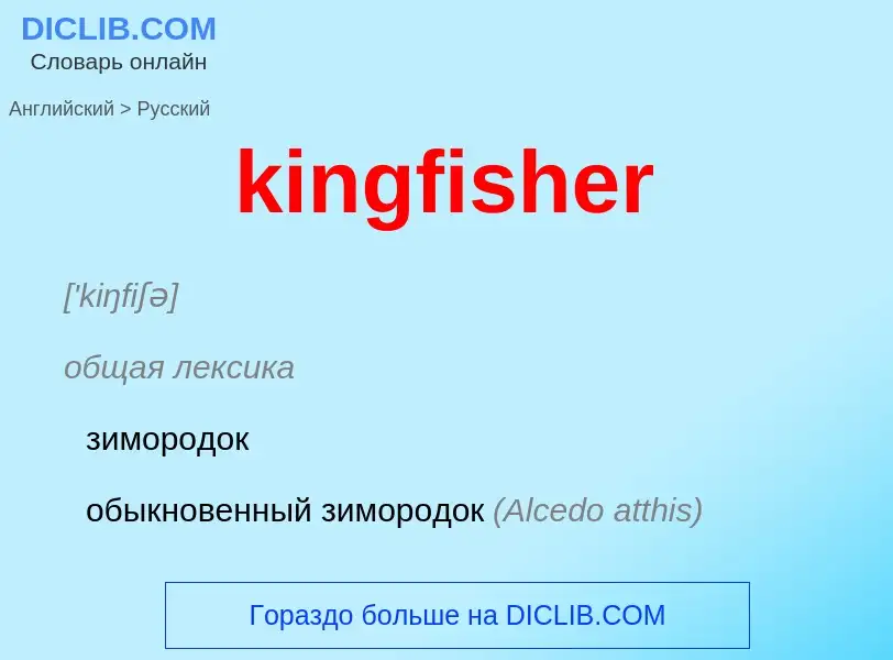 Как переводится kingfisher на Русский язык