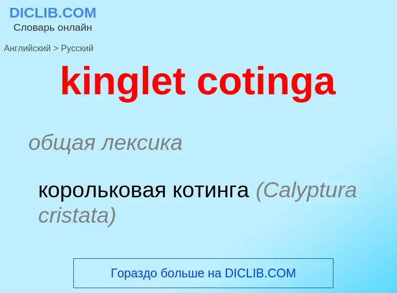 Как переводится kinglet cotinga на Русский язык