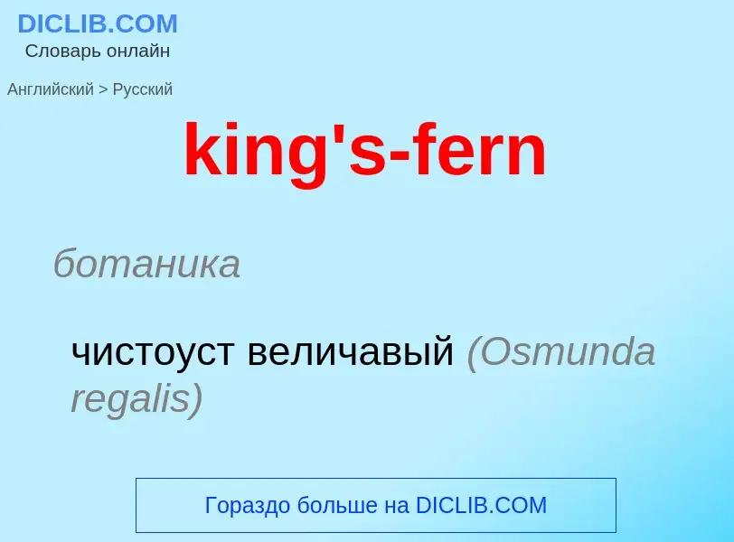 Как переводится king's-fern на Русский язык