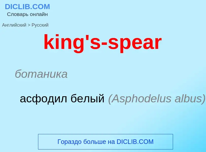 Как переводится king's-spear на Русский язык