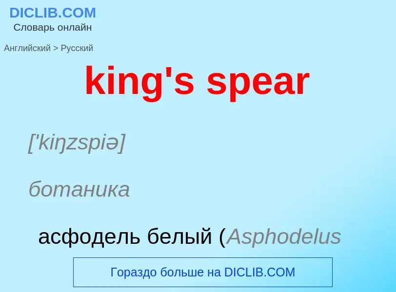 Как переводится king's spear на Русский язык