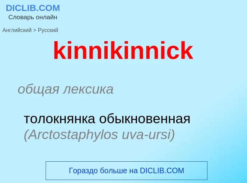 Как переводится kinnikinnick на Русский язык