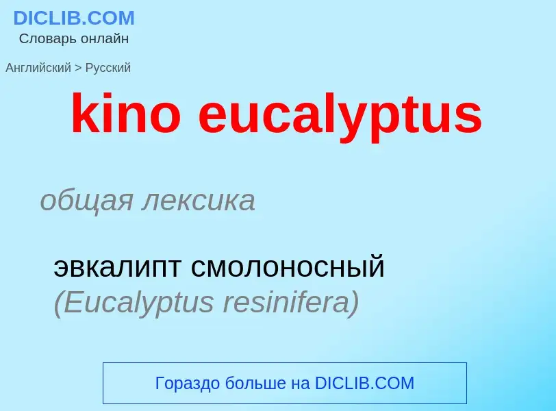 Как переводится kino eucalyptus на Русский язык