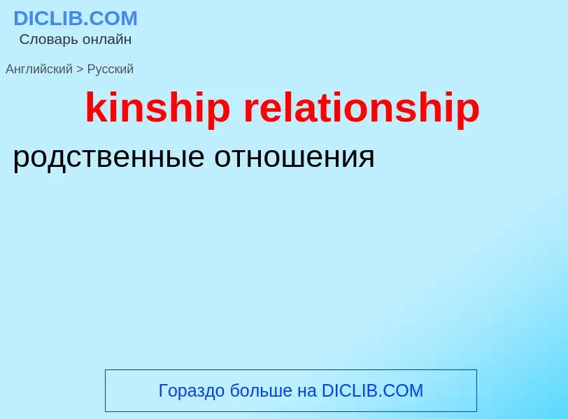 Как переводится kinship relationship на Русский язык