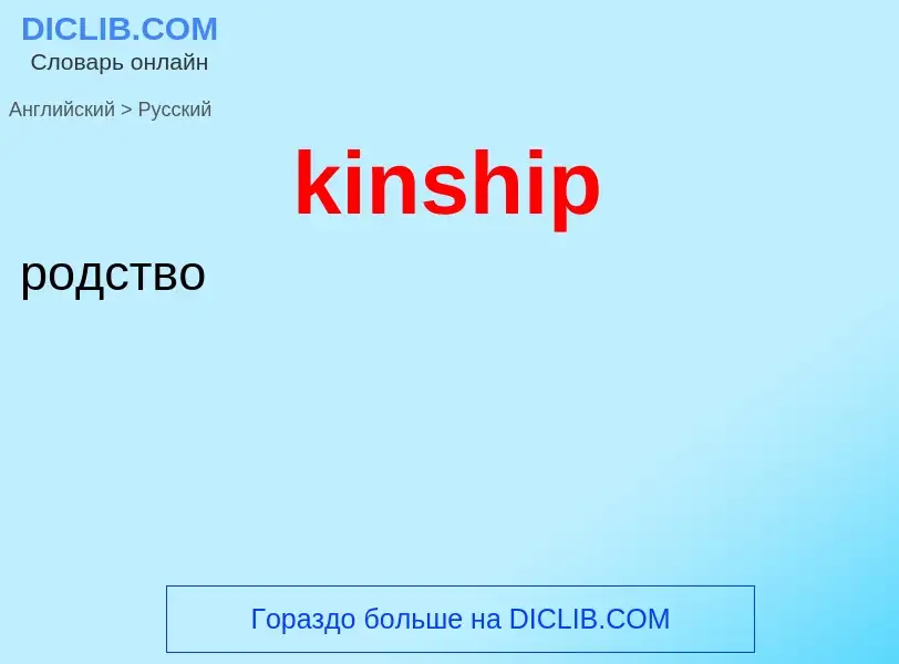 Как переводится kinship на Русский язык