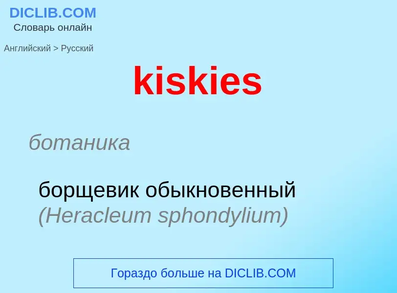 Как переводится kiskies на Русский язык