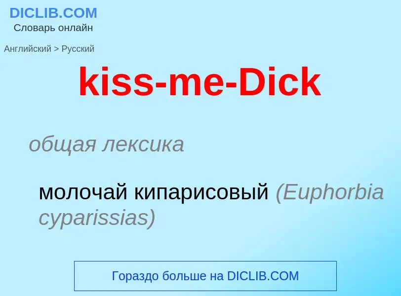 Как переводится kiss-me-Dick на Русский язык