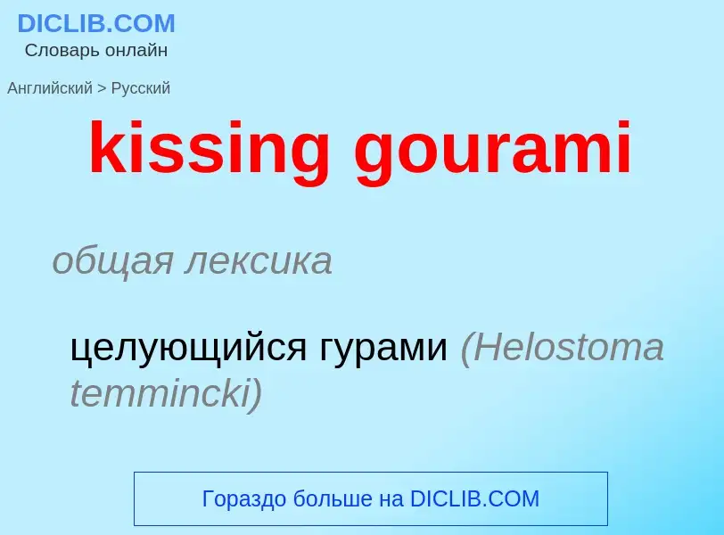 Как переводится kissing gourami на Русский язык