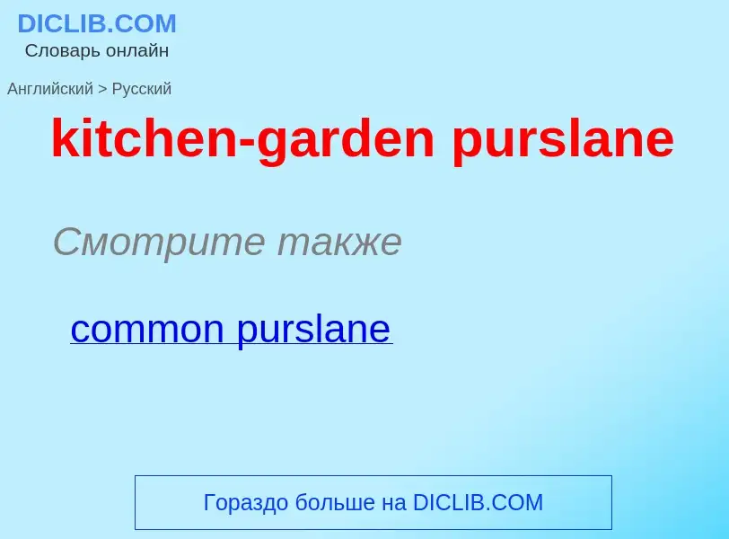 ¿Cómo se dice kitchen-garden purslane en Ruso? Traducción de &#39kitchen-garden purslane&#39 al Ruso