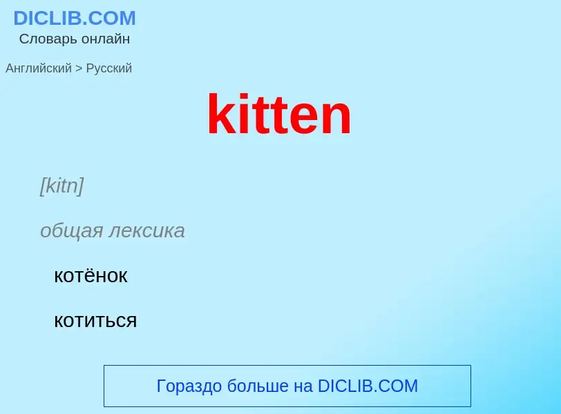 Как переводится kitten на Русский язык