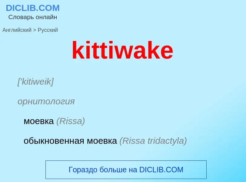 Как переводится kittiwake на Русский язык
