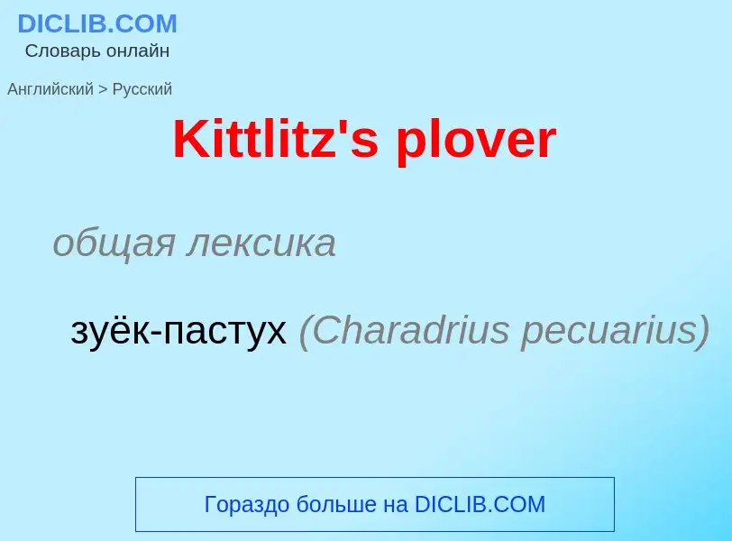 What is the Russian for Kittlitz's plover? Translation of &#39Kittlitz's plover&#39 to Russian