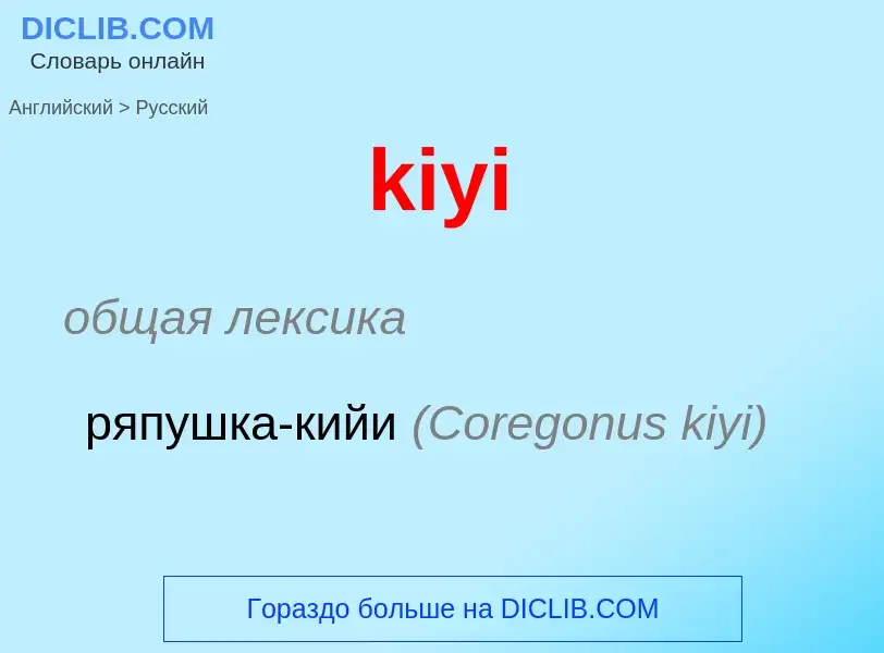 Как переводится kiyi на Русский язык