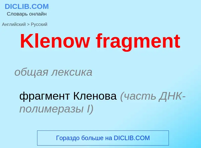 Как переводится Klenow fragment на Русский язык