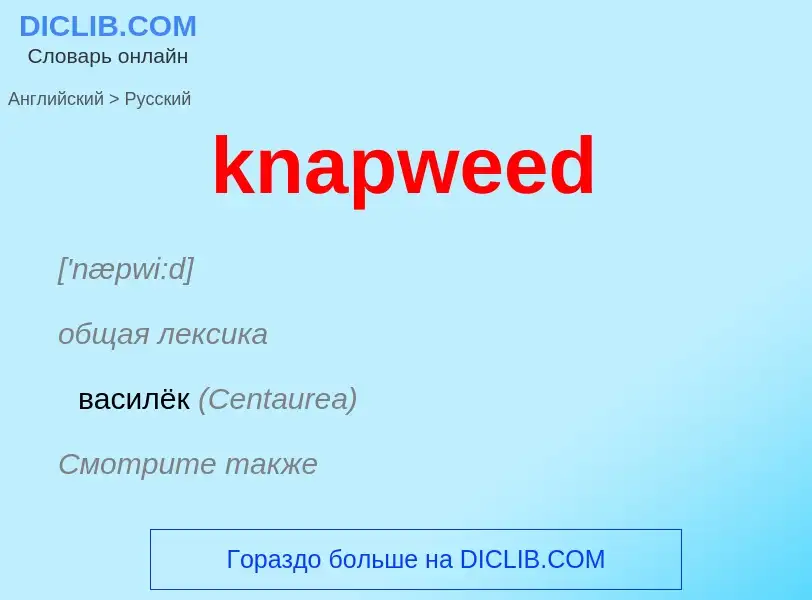 Как переводится knapweed на Русский язык