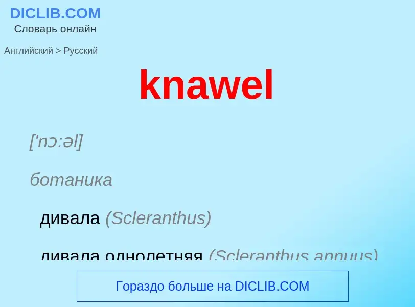 Как переводится knawel на Русский язык