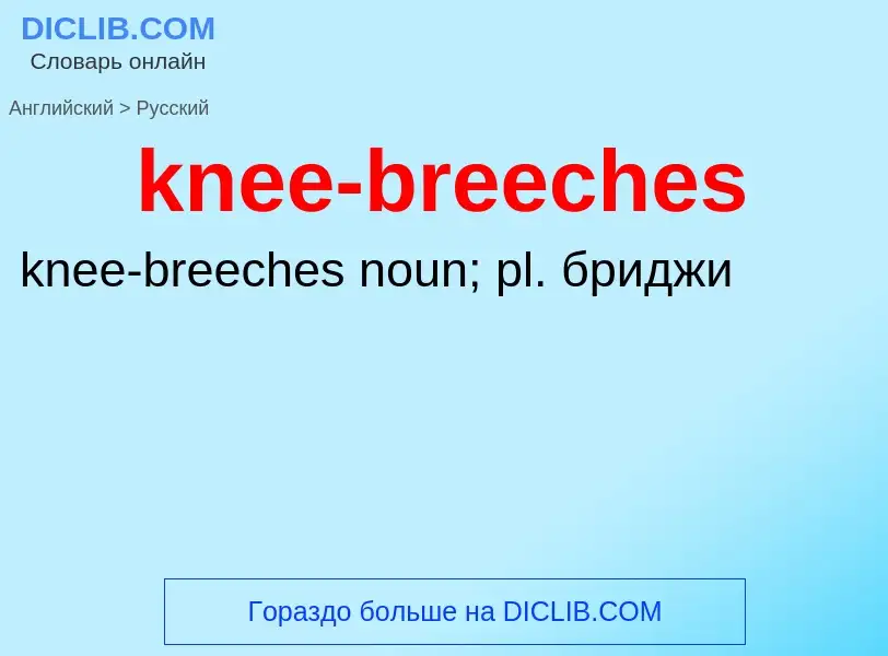 Как переводится knee-breeches на Русский язык