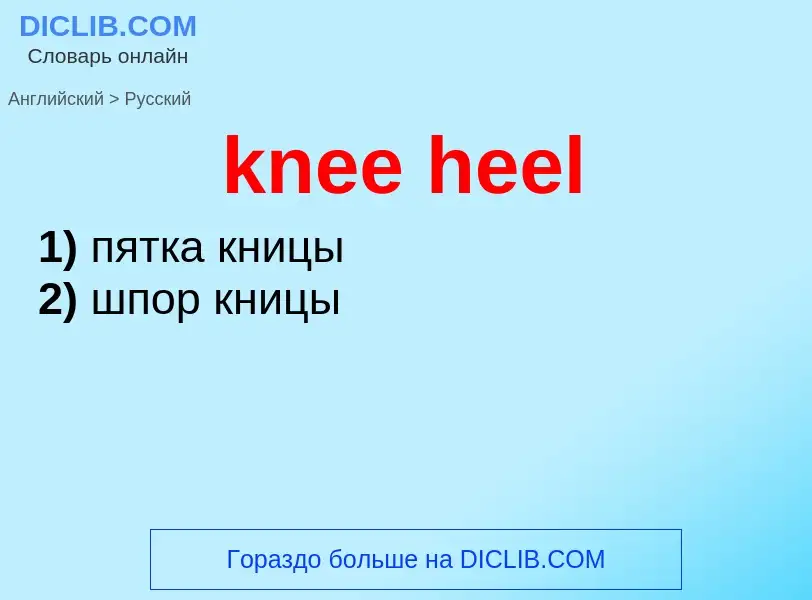 Как переводится knee heel на Русский язык