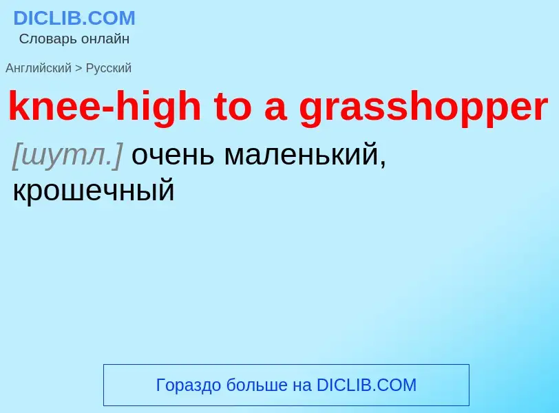 Как переводится knee-high to a grasshopper на Русский язык