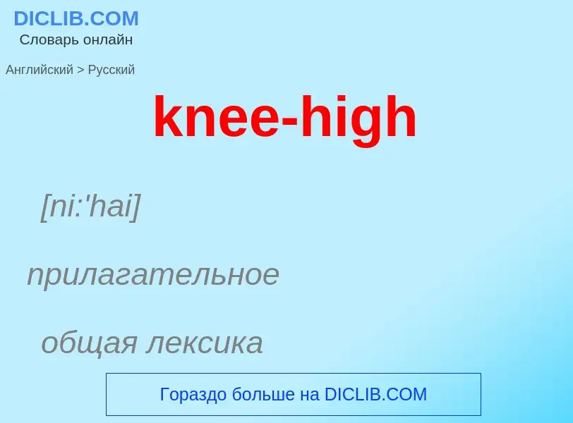 Как переводится knee-high на Русский язык