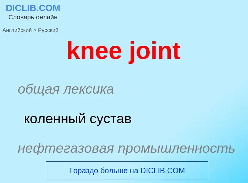 Как переводится knee joint на Русский язык